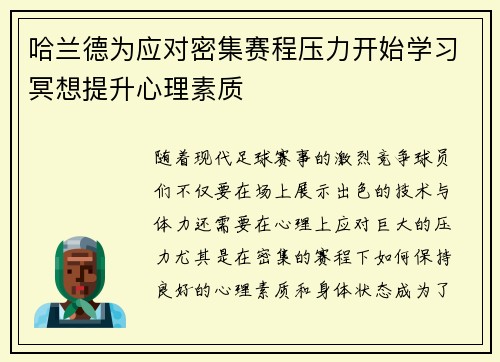 哈兰德为应对密集赛程压力开始学习冥想提升心理素质